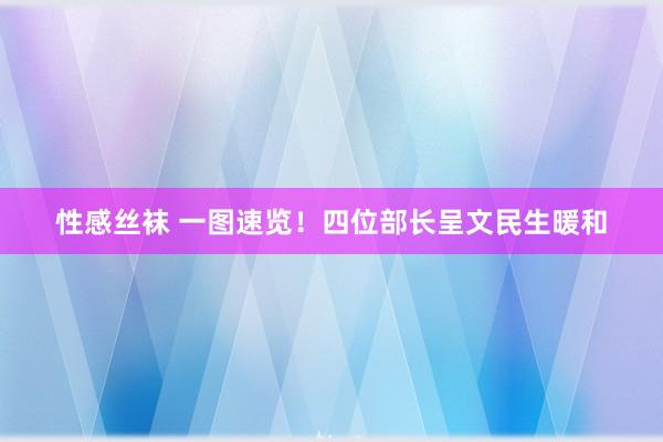 性感丝袜 一图速览！四位部长呈文民生暖和