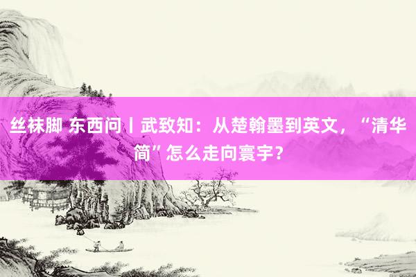 丝袜脚 东西问丨武致知：从楚翰墨到英文，“清华简”怎么走向寰宇？