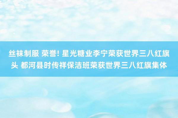 丝袜制服 荣誉! 星光糖业李宁荣获世界三八红旗头 都河县时传祥保洁班荣获世界三八红旗集体