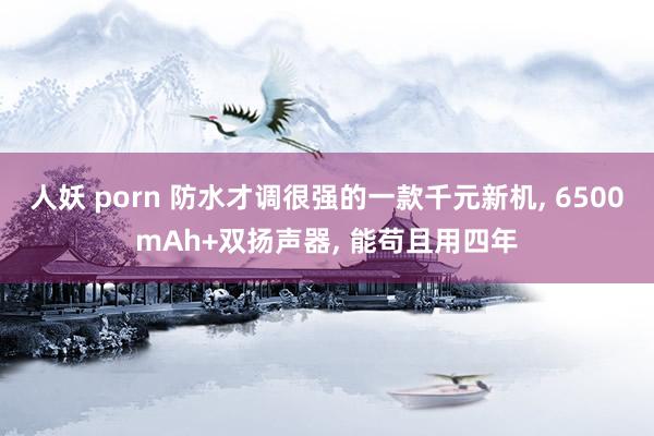人妖 porn 防水才调很强的一款千元新机， 6500mAh+双扬声器， 能苟且用四年