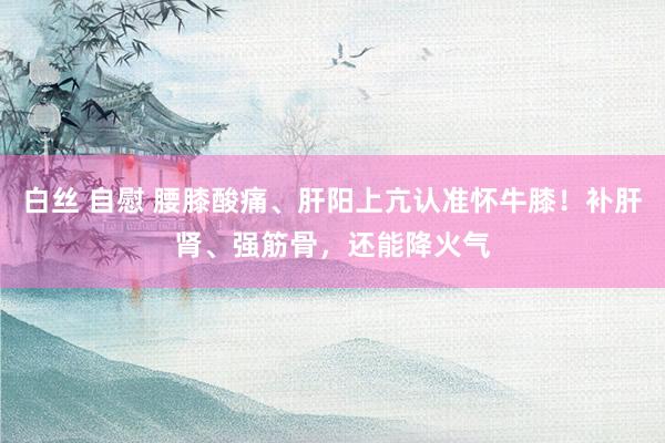 白丝 自慰 腰膝酸痛、肝阳上亢认准怀牛膝！补肝肾、强筋骨，还能降火气