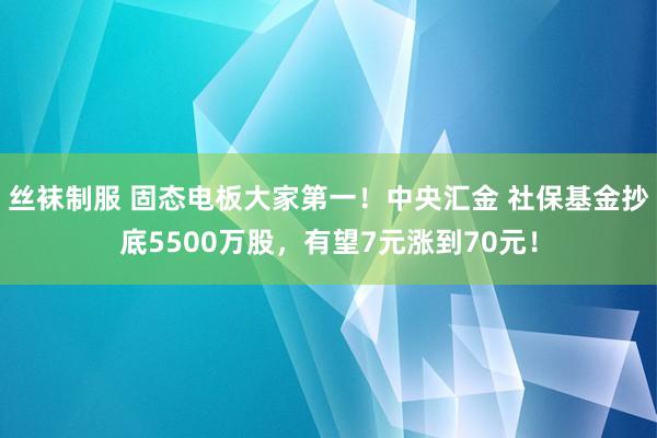 丝袜制服 固态电板大家第一！中央汇金 社保基金抄底5500万股，有望7元涨到70元！